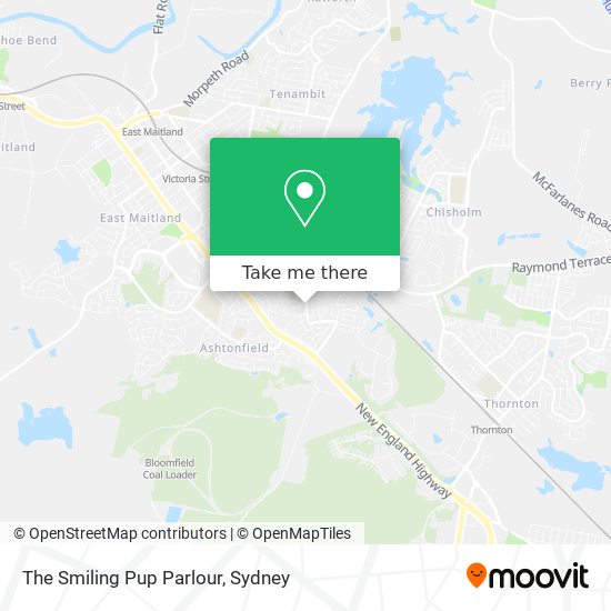 Mapa The Smiling Pup Parlour