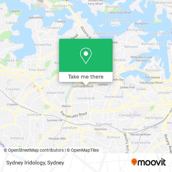 Sydney Iridology map