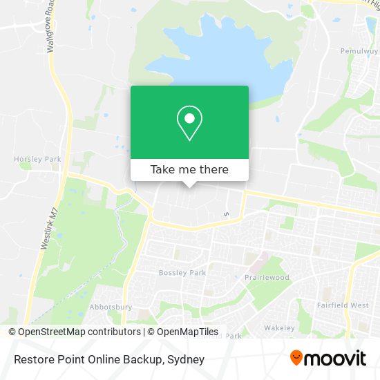 Restore Point Online Backup map