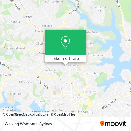 Walking Wombats map