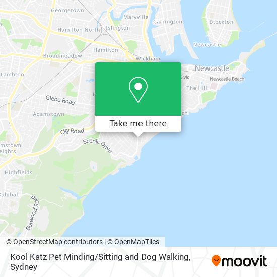 Kool Katz Pet Minding / Sitting and Dog Walking map