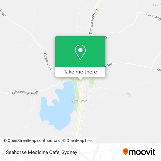 Seahorse Medicine Cafe map