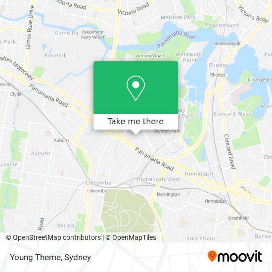 Young Theme map