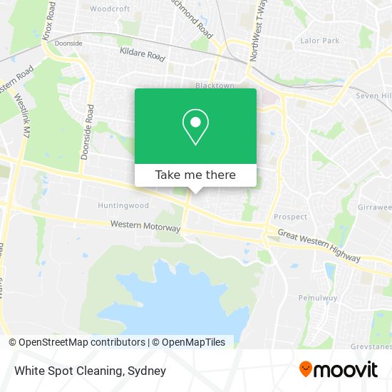 Mapa White Spot Cleaning