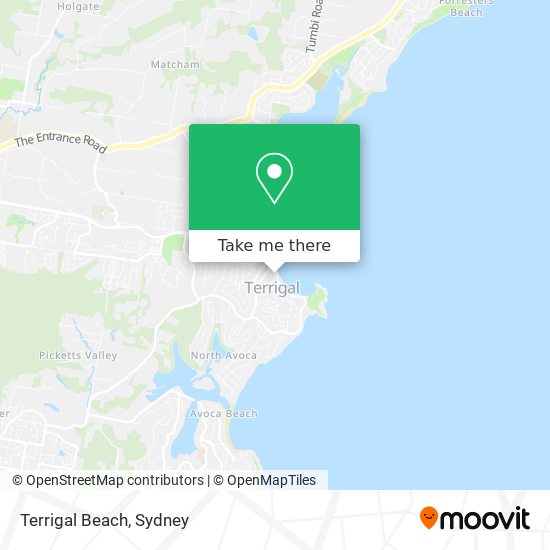 How to get to Terrigal Beach by bus?