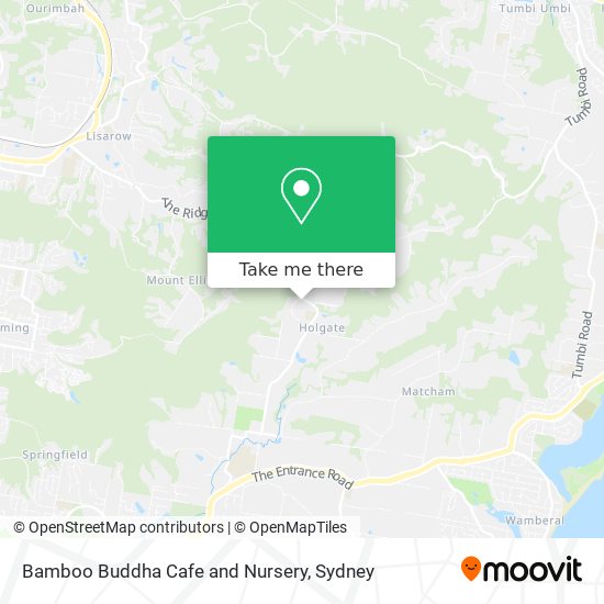 Bamboo Buddha Cafe and Nursery map