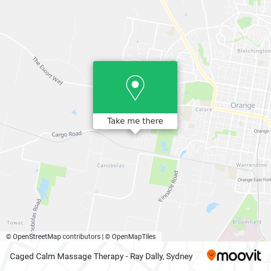 Caged Calm Massage Therapy - Ray Dally map