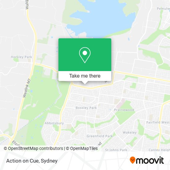 Action on Cue map