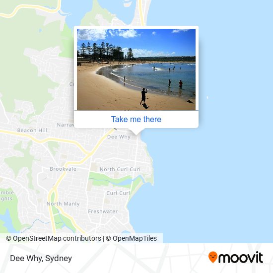 Dee Why map