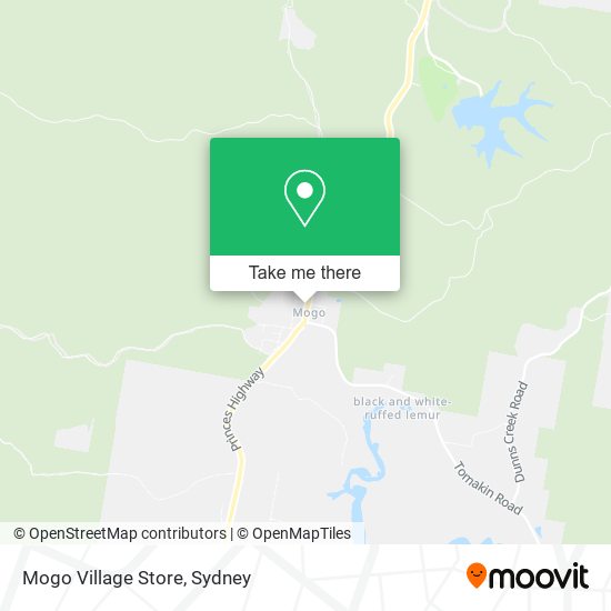 Mogo Village Store map