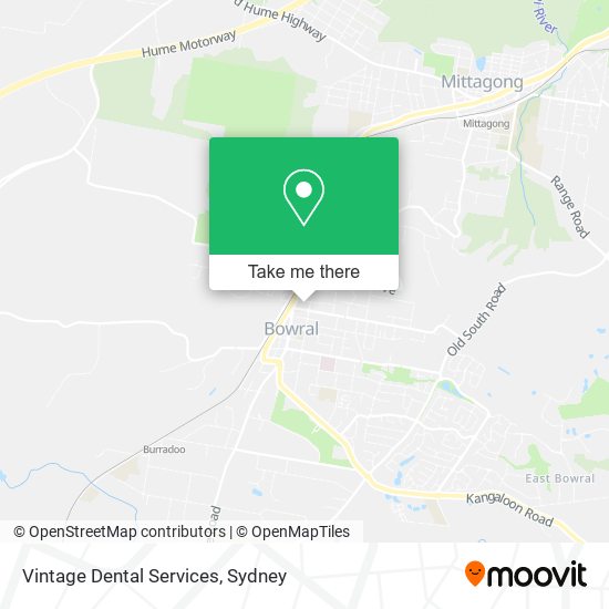 Mapa Vintage Dental Services