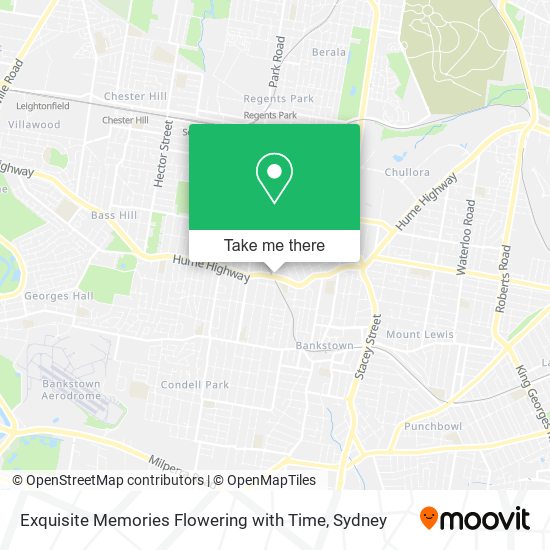 Exquisite Memories Flowering with Time map