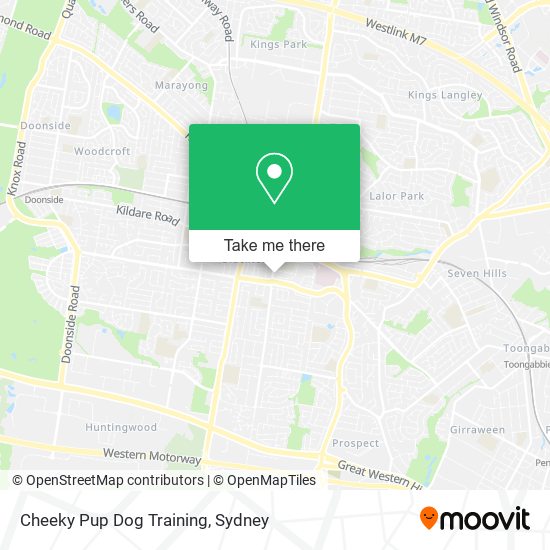 Cheeky Pup Dog Training map