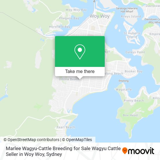 Mapa Marlee Wagyu-Cattle Breeding for Sale Wagyu Cattle Seller in Woy Woy