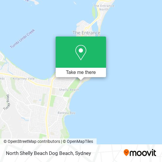 North Shelly Beach Dog Beach map