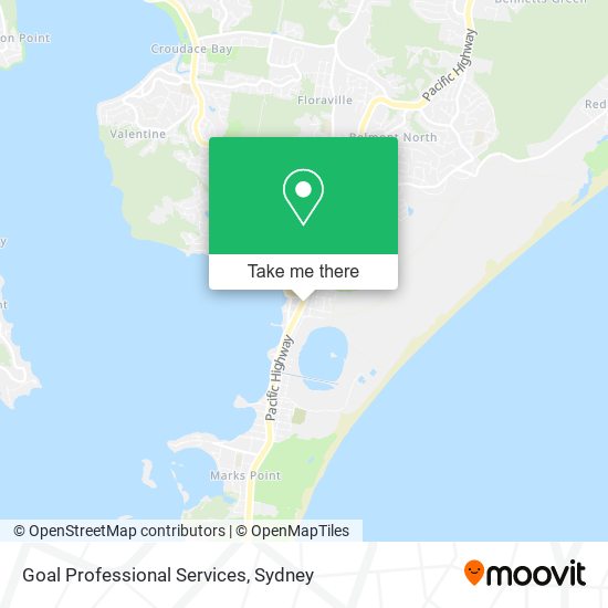 Goal Professional Services map