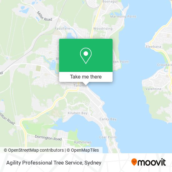 Agility Professional Tree Service map