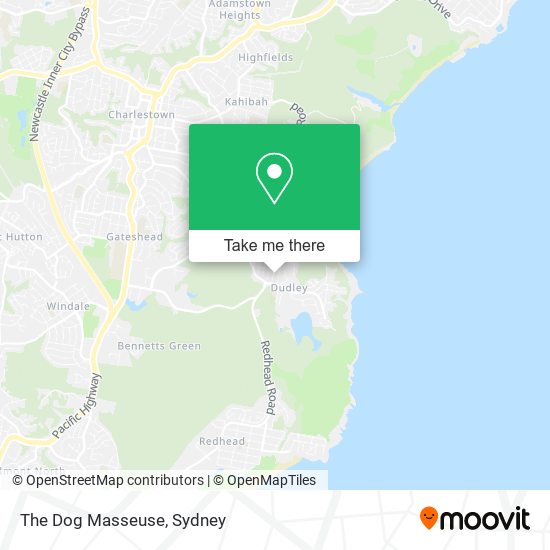 The Dog Masseuse map