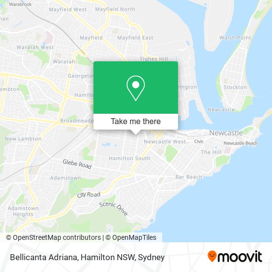 Mapa Bellicanta Adriana, Hamilton NSW