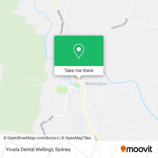 Yiruda Dental Wellingt map
