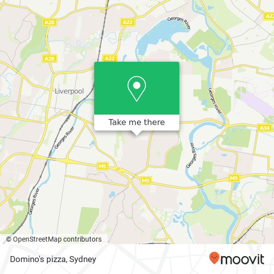 Domino's pizza map