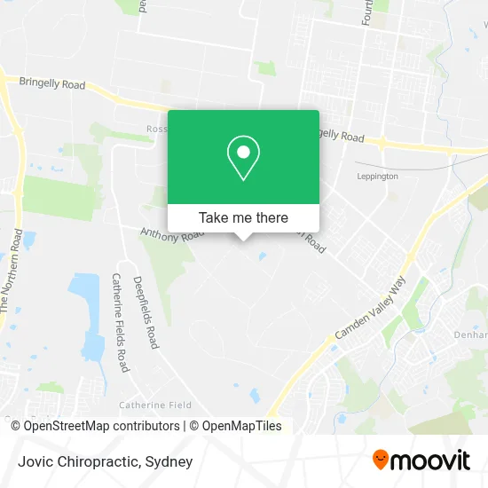 Mapa Jovic Chiropractic