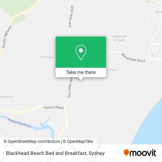 Mapa Blackhead Beach Bed and Breakfast