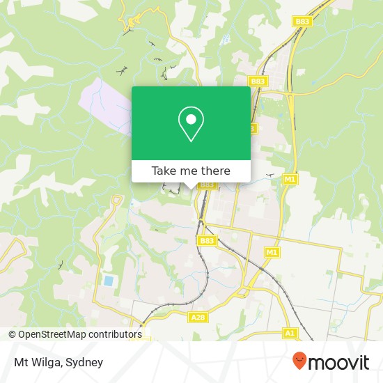 Mt Wilga map