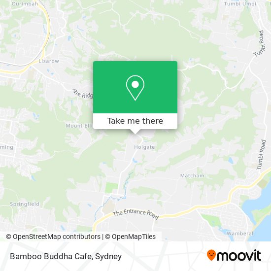 Bamboo Buddha Cafe map