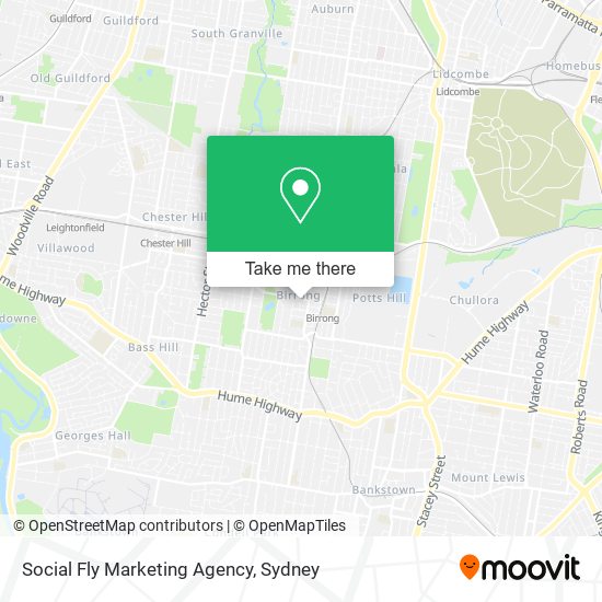 Mapa Social Fly Marketing Agency