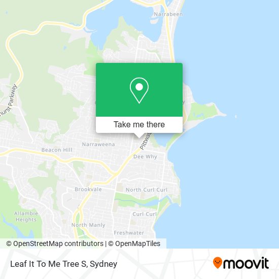 Leaf It To Me Tree S map