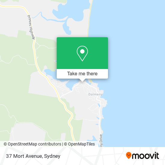 37 Mort Avenue map