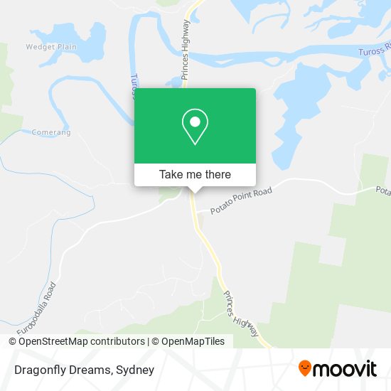 Dragonfly Dreams map