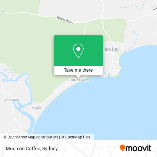 Moch on Coffee map