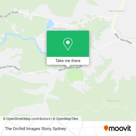 The Orchid Images Story map