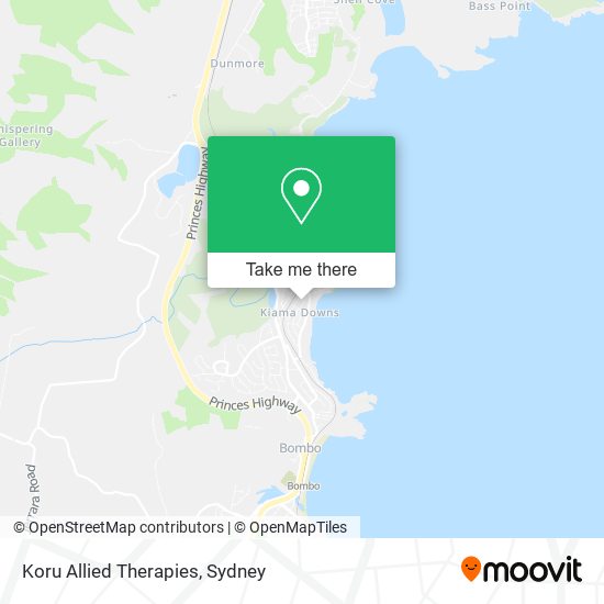 Mapa Koru Allied Therapies