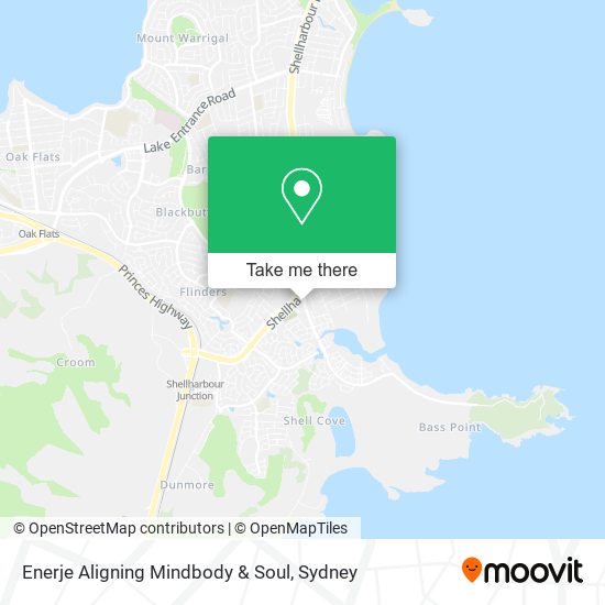 Enerje Aligning Mindbody & Soul map