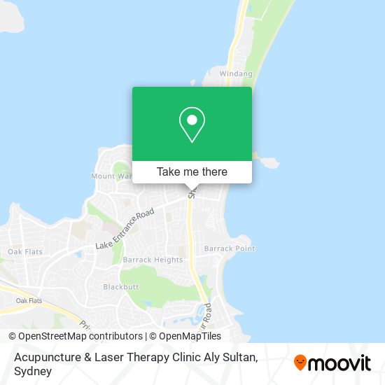 Acupuncture & Laser Therapy Clinic Aly Sultan map