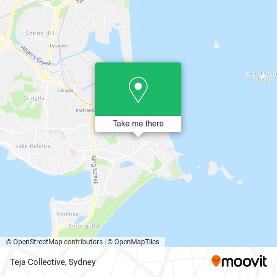 Teja Collective map