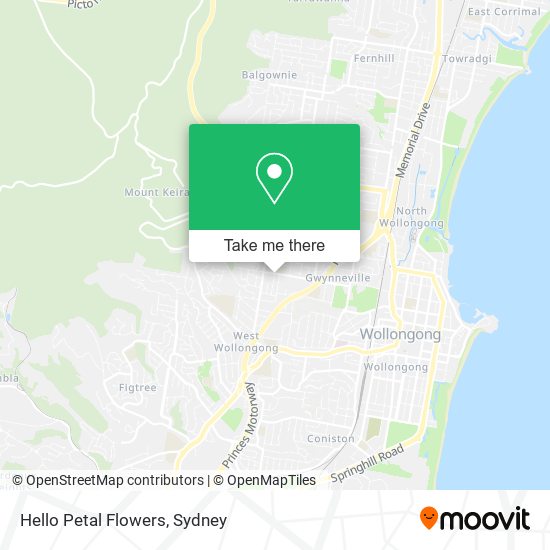 Hello Petal Flowers map