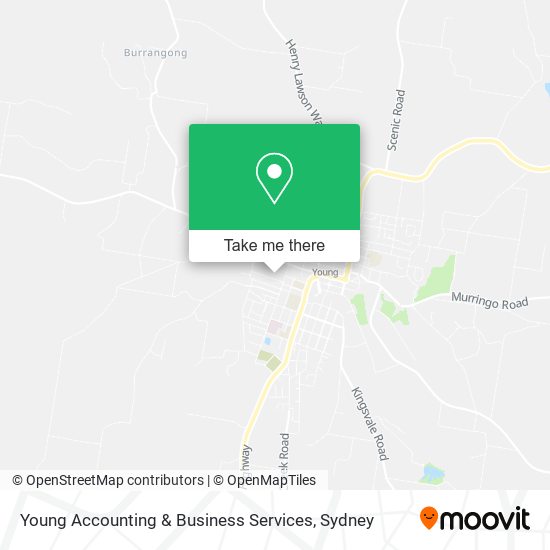 Young Accounting & Business Services map