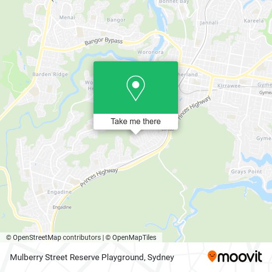 Mulberry Street Reserve Playground map