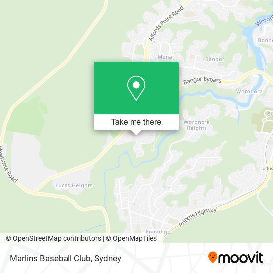 Mapa Marlins Baseball Club