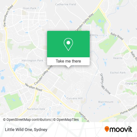 Little Wild One map