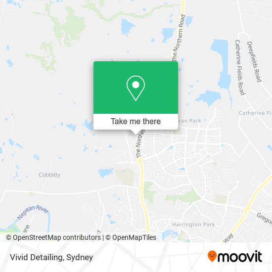 Vivid Detailing map
