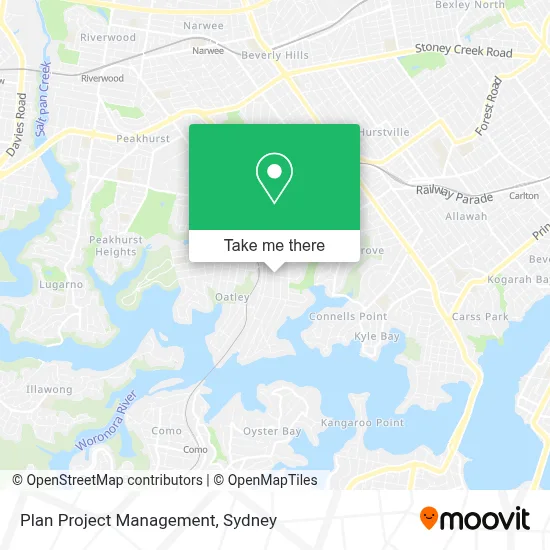 Plan Project Management map