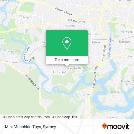 Mini Munchkin Toys map