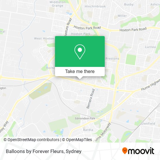 Balloons by Forever Fleurs map