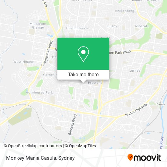 Monkey Mania Casula map