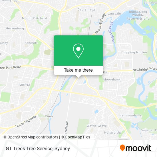 GT Trees Tree Service map